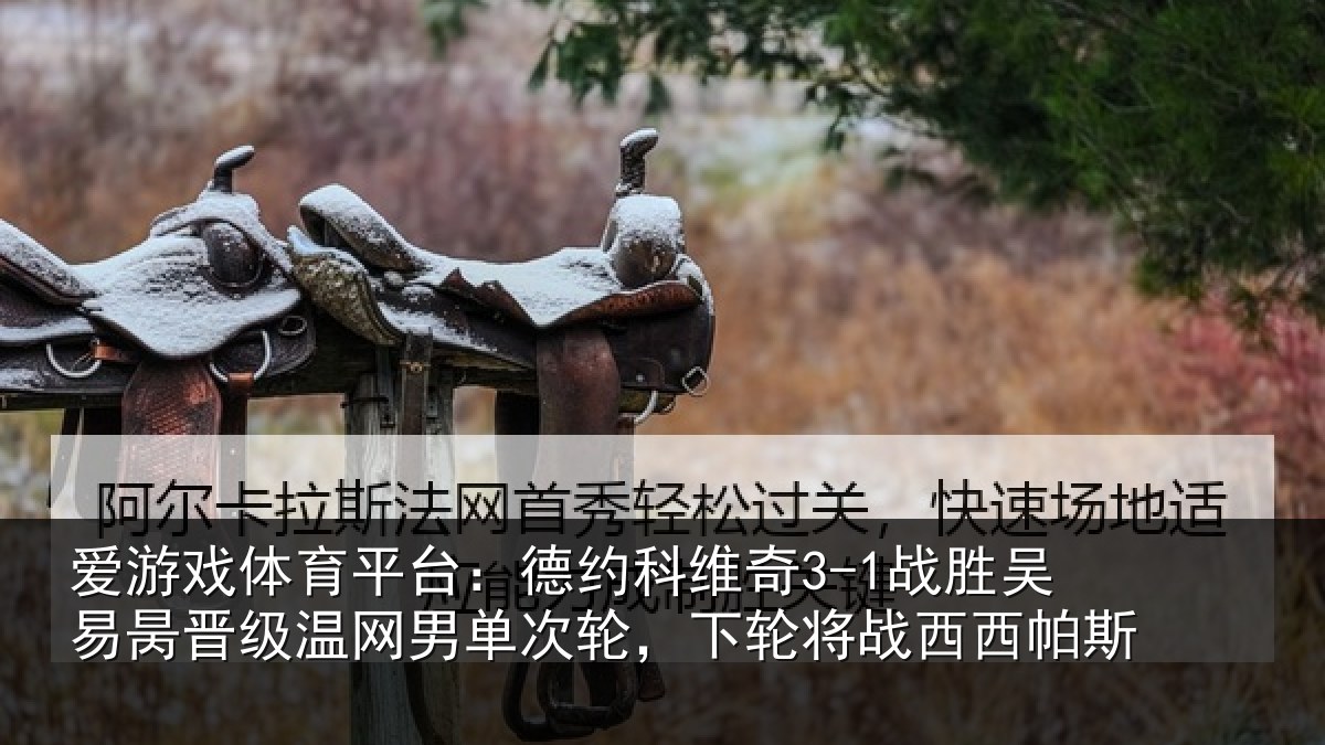 爱游戏体育平台：德约科维奇3-1战胜吴易昺晋级温网男单次轮，下轮将战西西帕斯