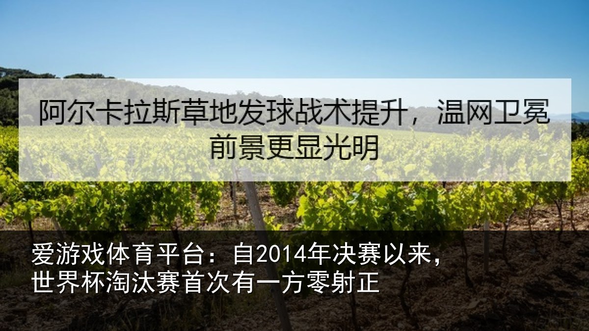 爱游戏体育平台:自年相关情况汰赛相关情况