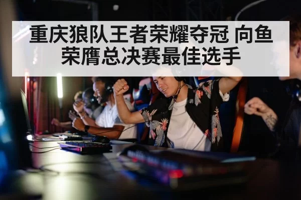 重庆狼队王者荣耀夺冠 向鱼荣膺总决赛最佳选手